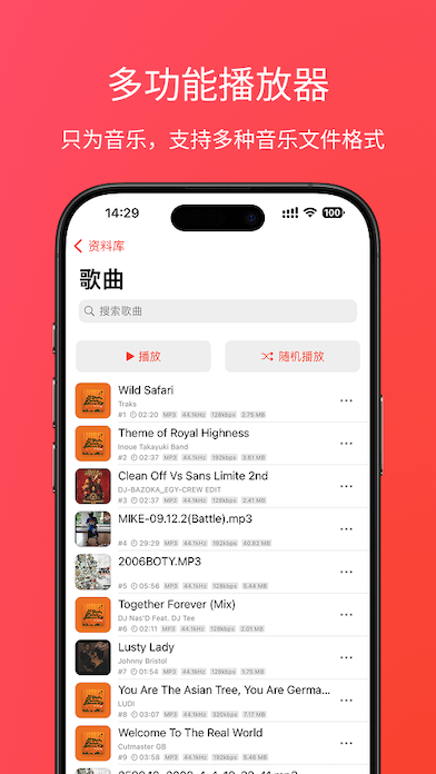 ZPlayer Screenshot 2